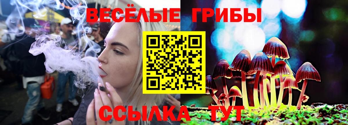 Галлюциногенные грибы мицелий Оренбург